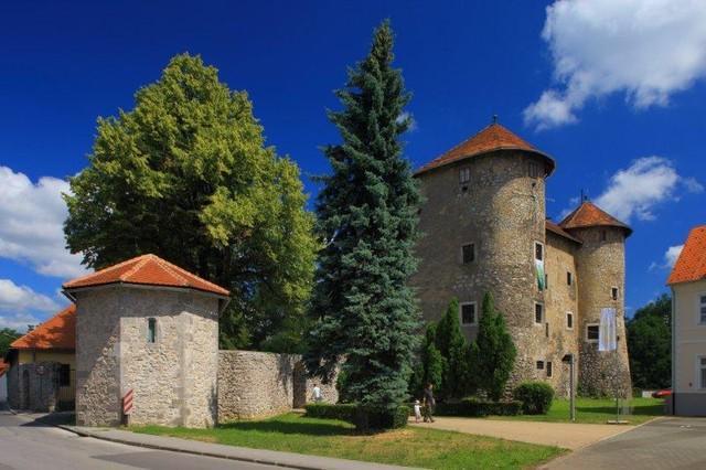 Apartment Gorska Vila Ogulin Exterior foto